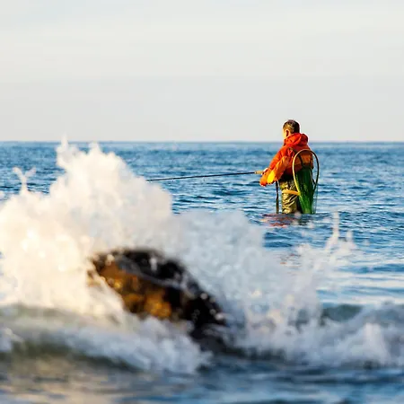 Tiny Seaside - Loddenhoj Daire Lillekobbel